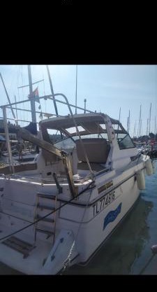 Taîaut