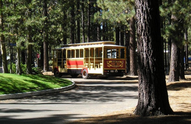 Tahoe Valley Cabin 2