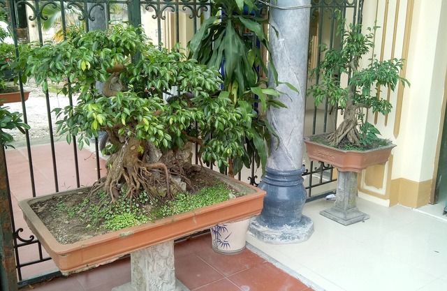 Tai Hoa Motel