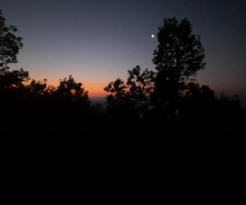 Tamang Homestay in Parewakot Chitwan -Chitwan Nagarkot