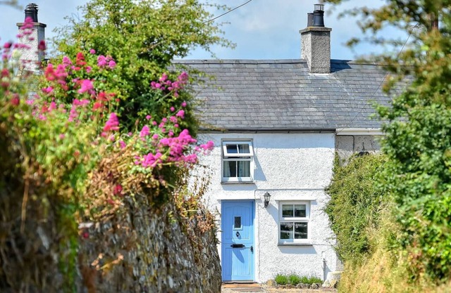 Tan Fynwent 