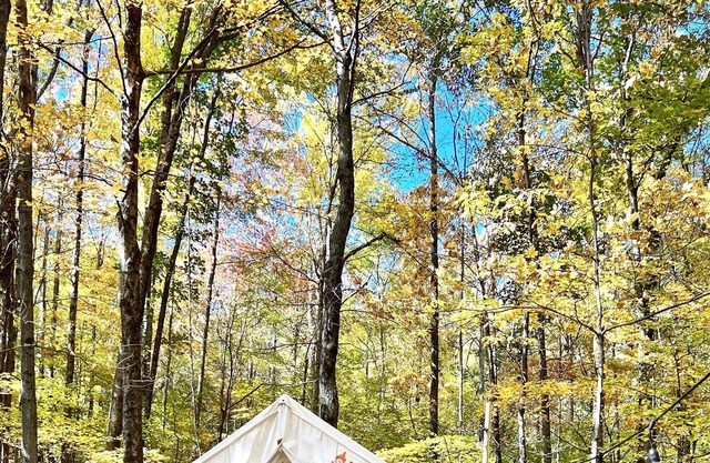 Tentrr Signature Site - Retreat East Co, The Forest Experience