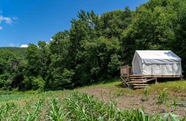 Tentrr State Park Site - Taconic State Park High Valley Rd Site A