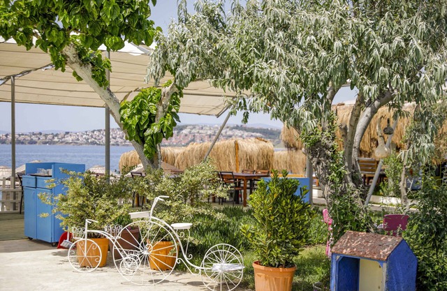 Teos Ormanci Tatil Koyu