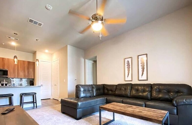 Texas Corporate Housing Solutions Professional Apt