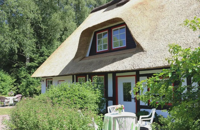 Thatched roof house with proximity to the Baltic Sea, outdoor sauna, playground & large garden