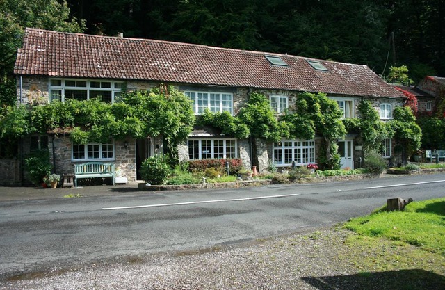 The Bark House