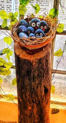 The BIRD Nest