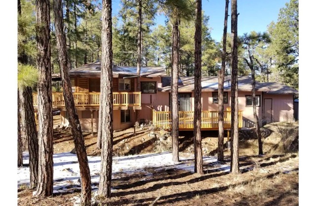The Cabin in the Pines