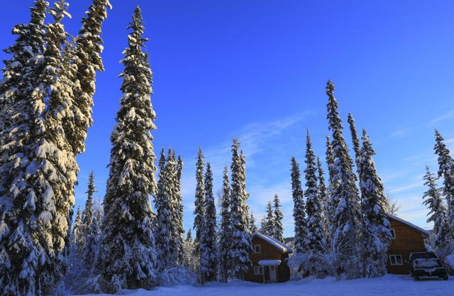 The Cabin in the Woods 2 森林小屋 2