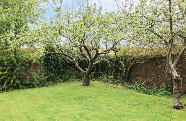 The Cider Loft
