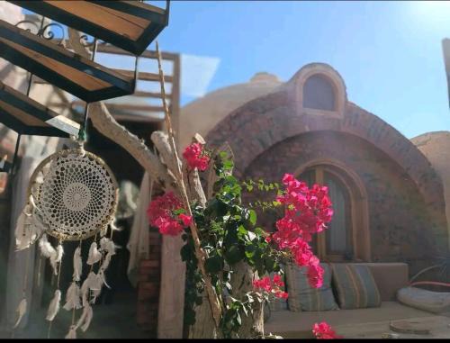 The dome house