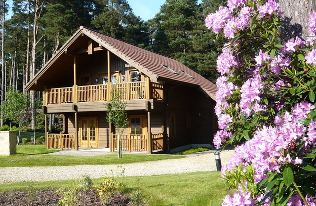 The Dorset Resort