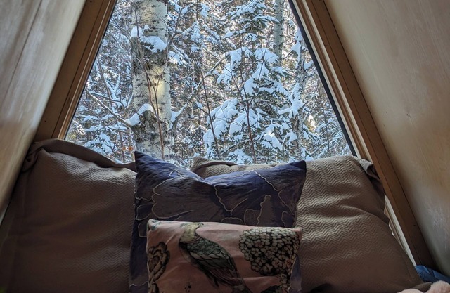 The Fern A-frame Cabin