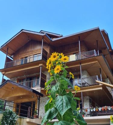 The Hillside