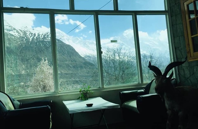 The Hunza Executive Resort