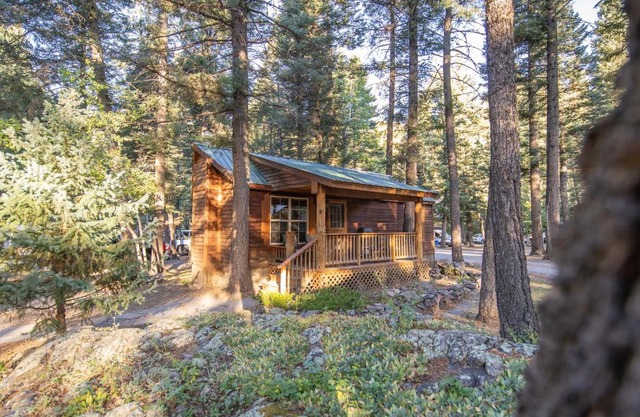 The Iris Cabin #1 at Blue Spruce RV Park & Cabins