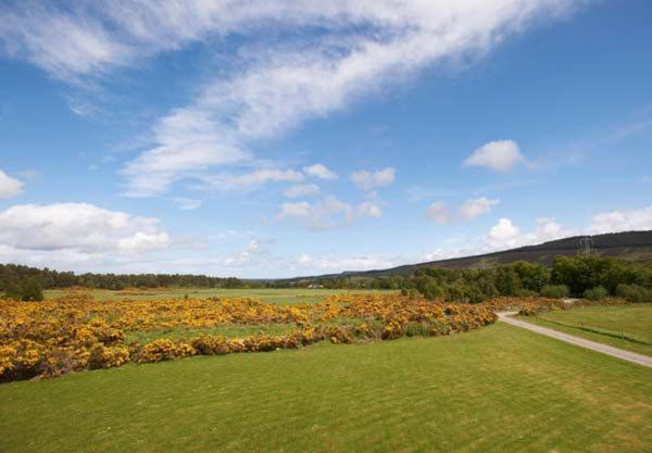 The Mews Apartment at Daviot Lodge, Inverness-shire