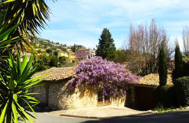 The Moulin de Boursac - Historic renovated Mill with a huge pool