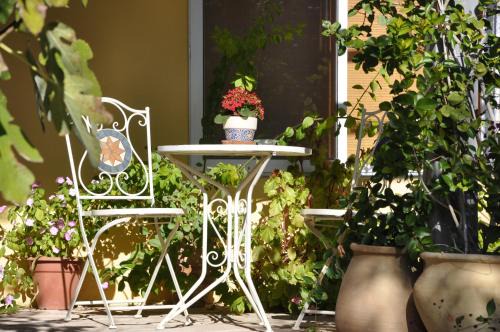 The OLive Tree