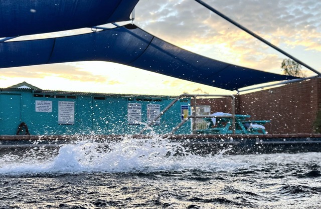 The Phoenix Artesian Spa Resort and Accommodation