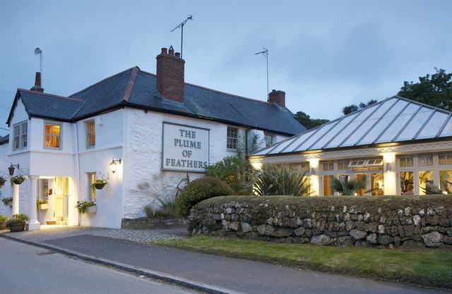 The Plume of Feathers