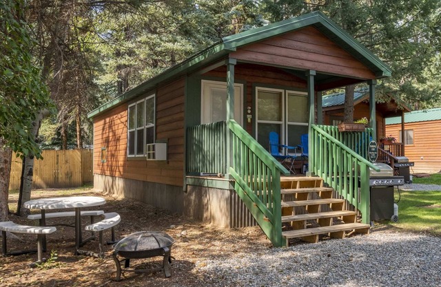 The Shooting Star Cabin #11