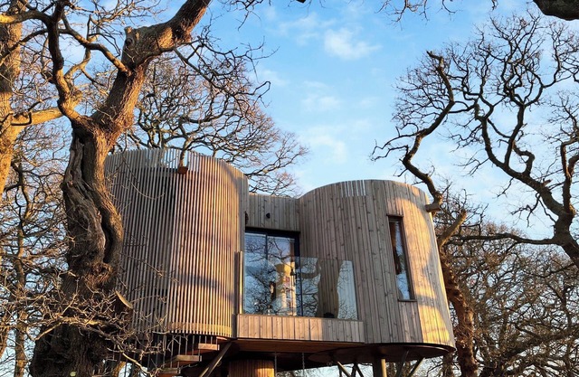 The Treehouse @ Caerlaverock - UK45028