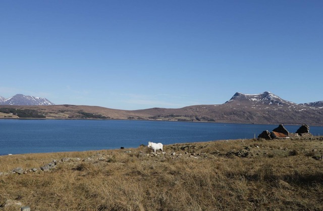 THE WEE BARN, pet friendly, with open fire in Dundonnell