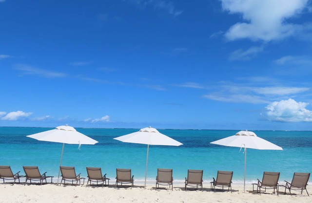 The White House TCI