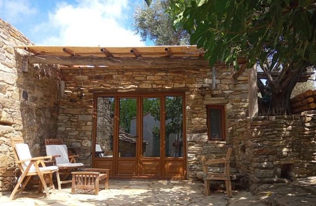 The Wise Olive Tree