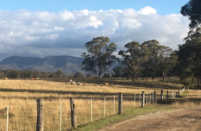 The Woodcutter’s Shed Hunter Valley
