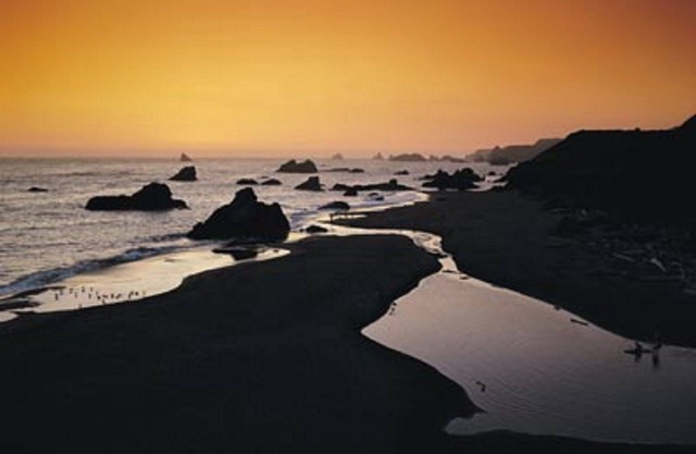 Tide pools, wide sandy beaches, whale watching!