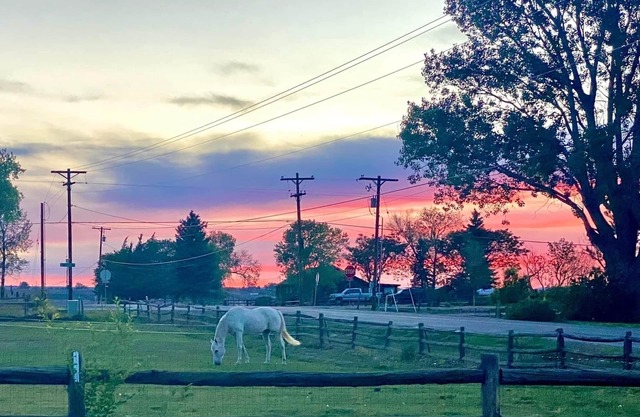 Tilted Rooster Ranch Guesthouse - 5 Minutes from Airport & 10 From Downtown