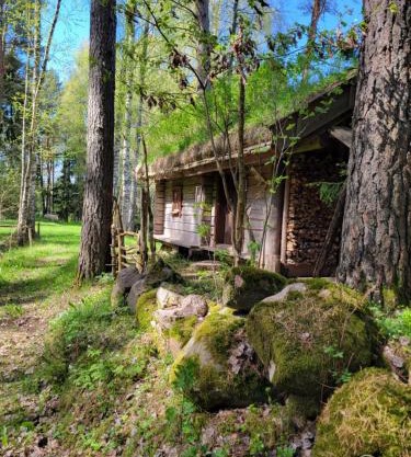 Timmerstugan i skogen