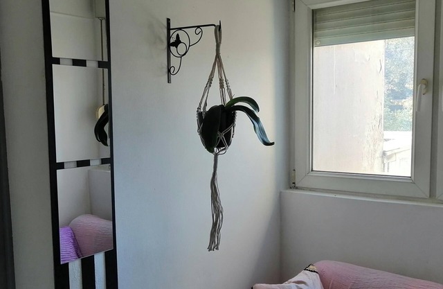 Tiny Romantic Flat in the Centre