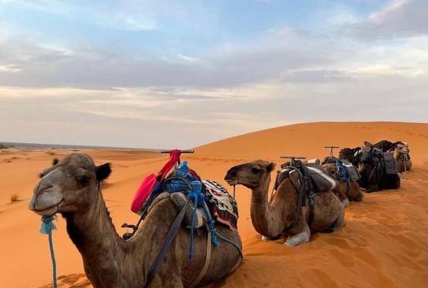 Top ten desert camp