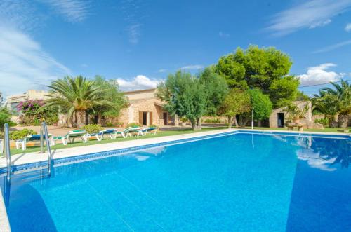 Torre Marina Alga 