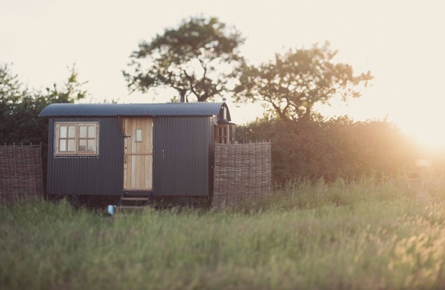 Traditional shepherd's huts in the middle of a National Nature Reserve.