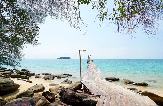 Tree House Bungalows Resort