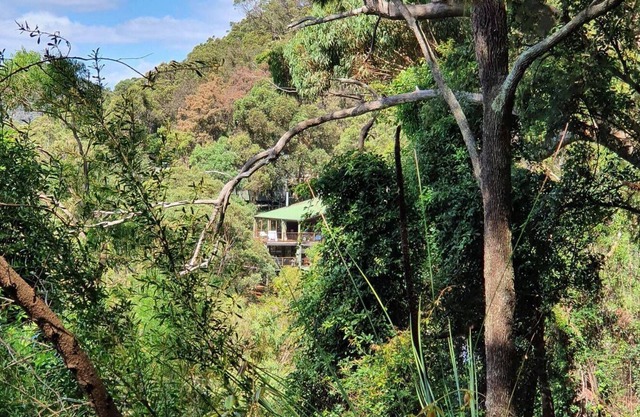 Tree house by the river - forest serenity just an hour from the city