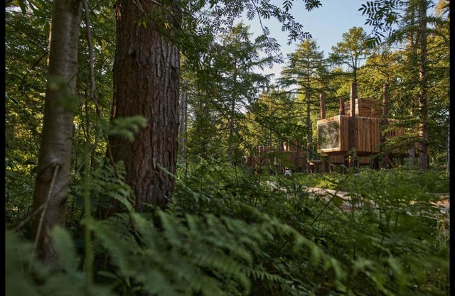 Treeloft adventure in nature for 4 people 13
