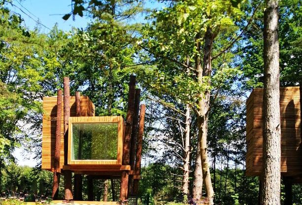 Treeloft adventure in nature for 4 people 7