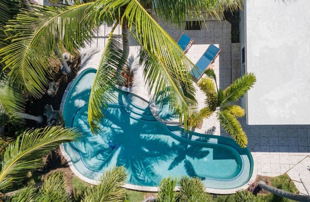Tropical Breeze and Palm Trees
