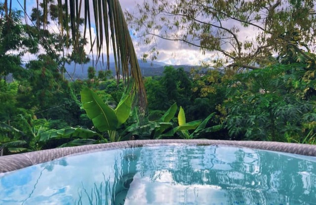 Tropical Retreat with Spectacular Rainforest & Ocean Views. Now with Jacuzzi!