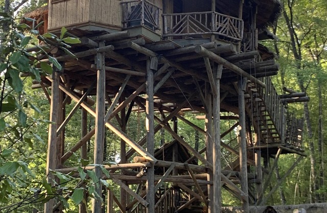 Tropical Treehouse surrounded by Jungle Gardens