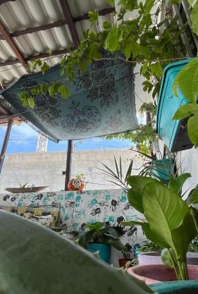 Tropicali ⁿᵉᵃʳ ⁿᵍᵒʳ ᵇᵉᵃᶜʰ ᵃⁿᵈ ⁱˢˡᵃⁿᵈ