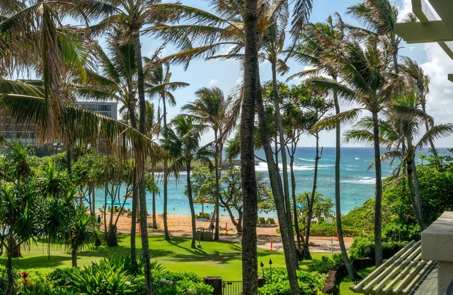 Turtle Bay Oceanview Beachfront 3 Bedroom Villa #314