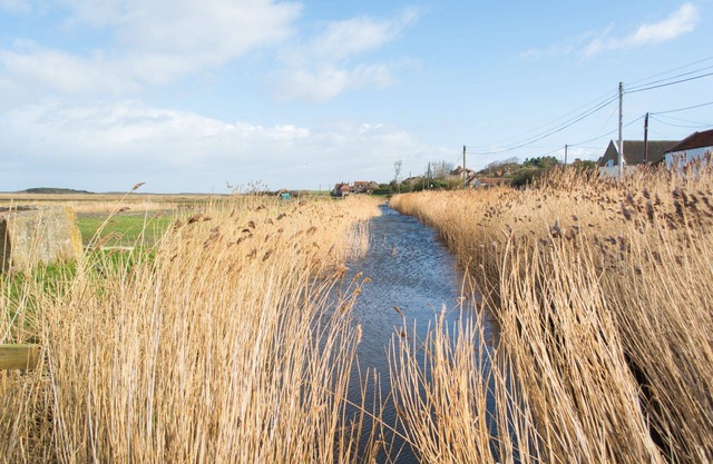 Tystie Cottage | Coastal property located in area of outstanding natural beauty