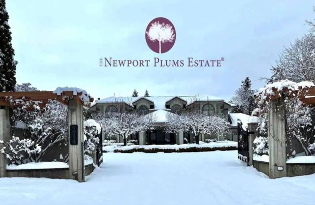 Unique downtown Sandpoint house with hot tub!
